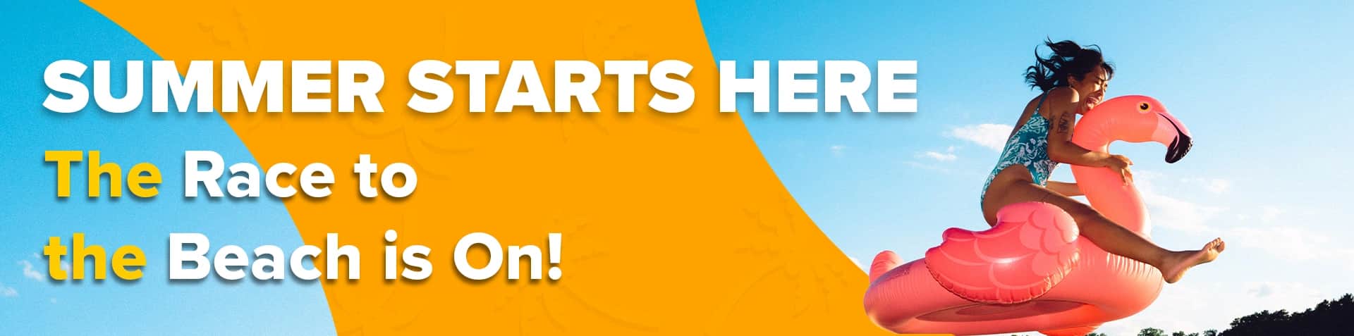 Bargain Summer Deals!