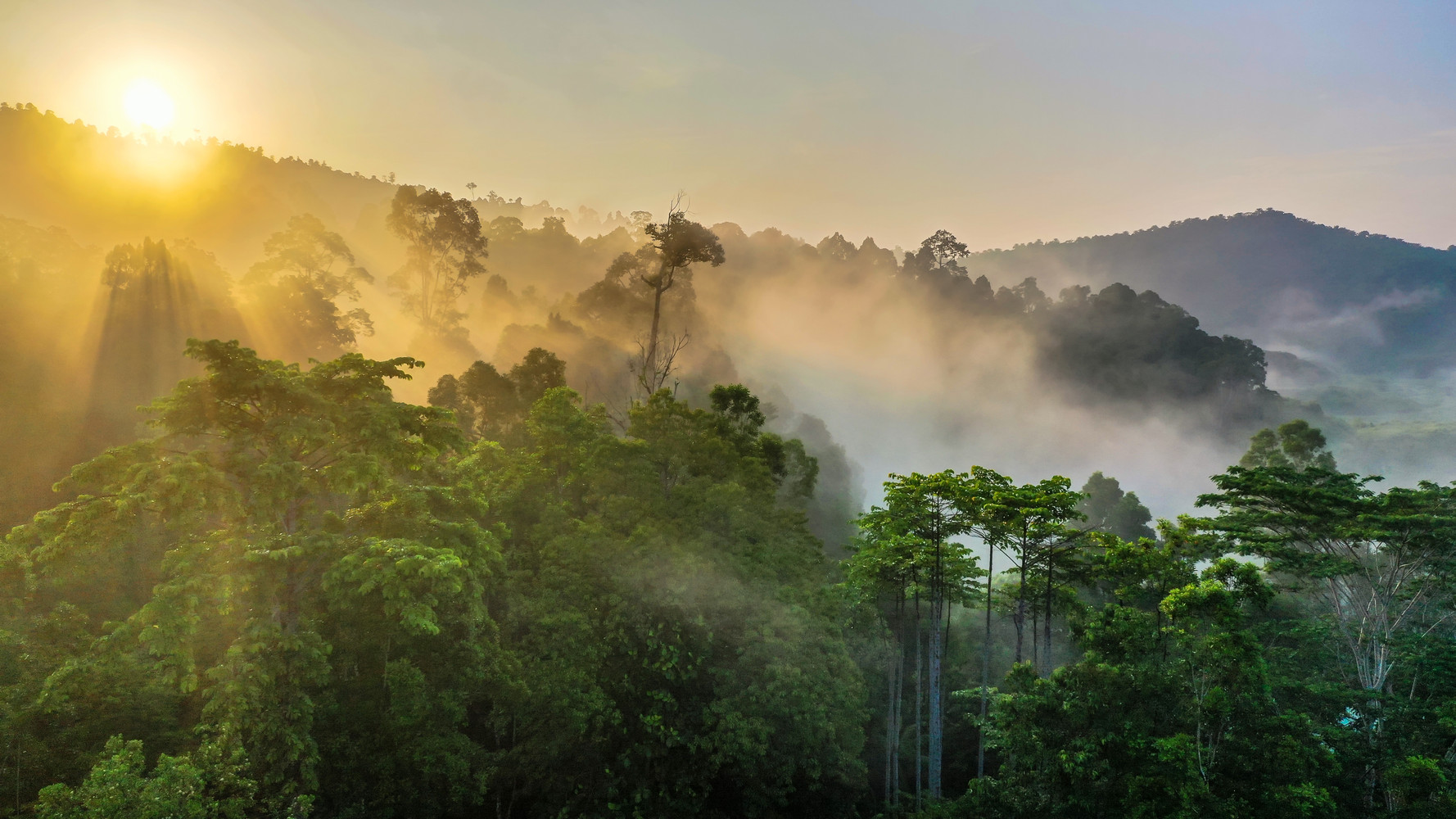 Borneo (Malaysia)