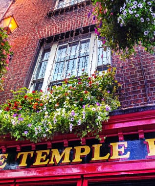 Try out Temple Bar