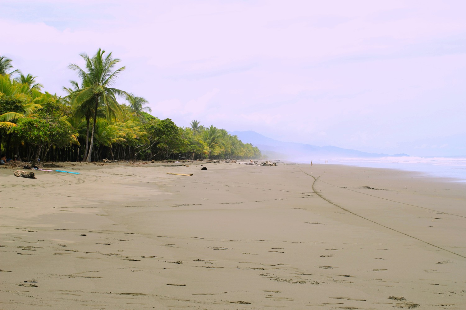 Fiests on the Sands