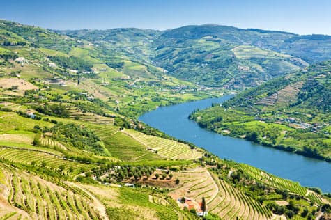 Explore the Douro River