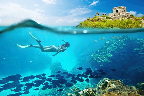 Scuba Dive In Riviera Maya