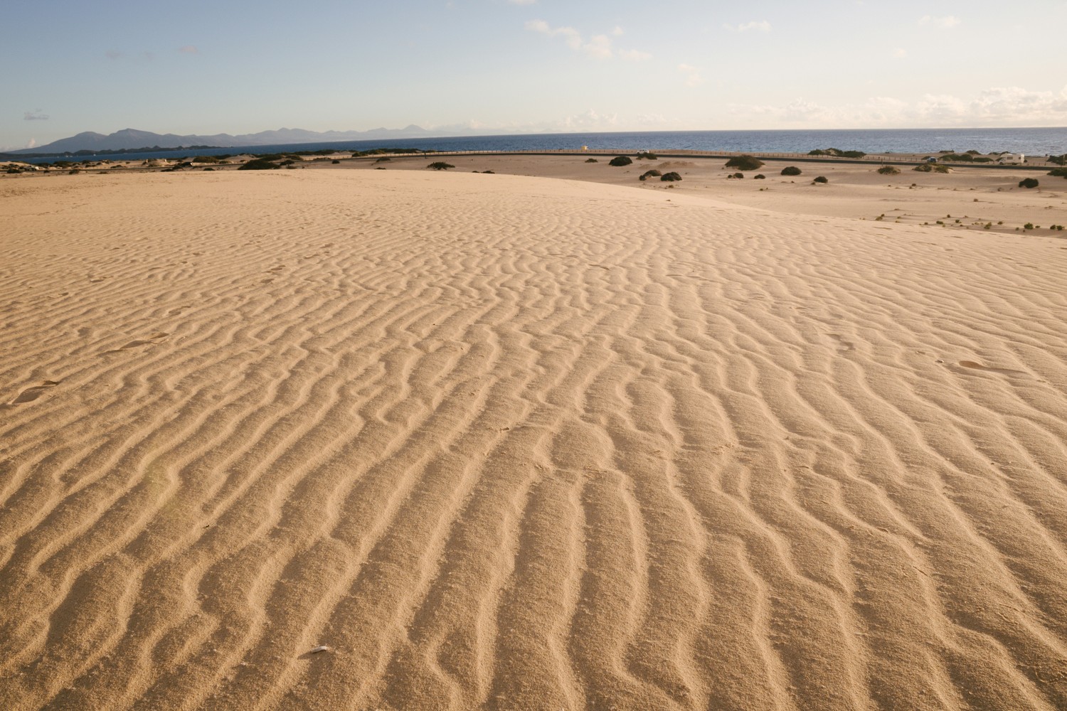 Top Things to Do in Fuerteventura