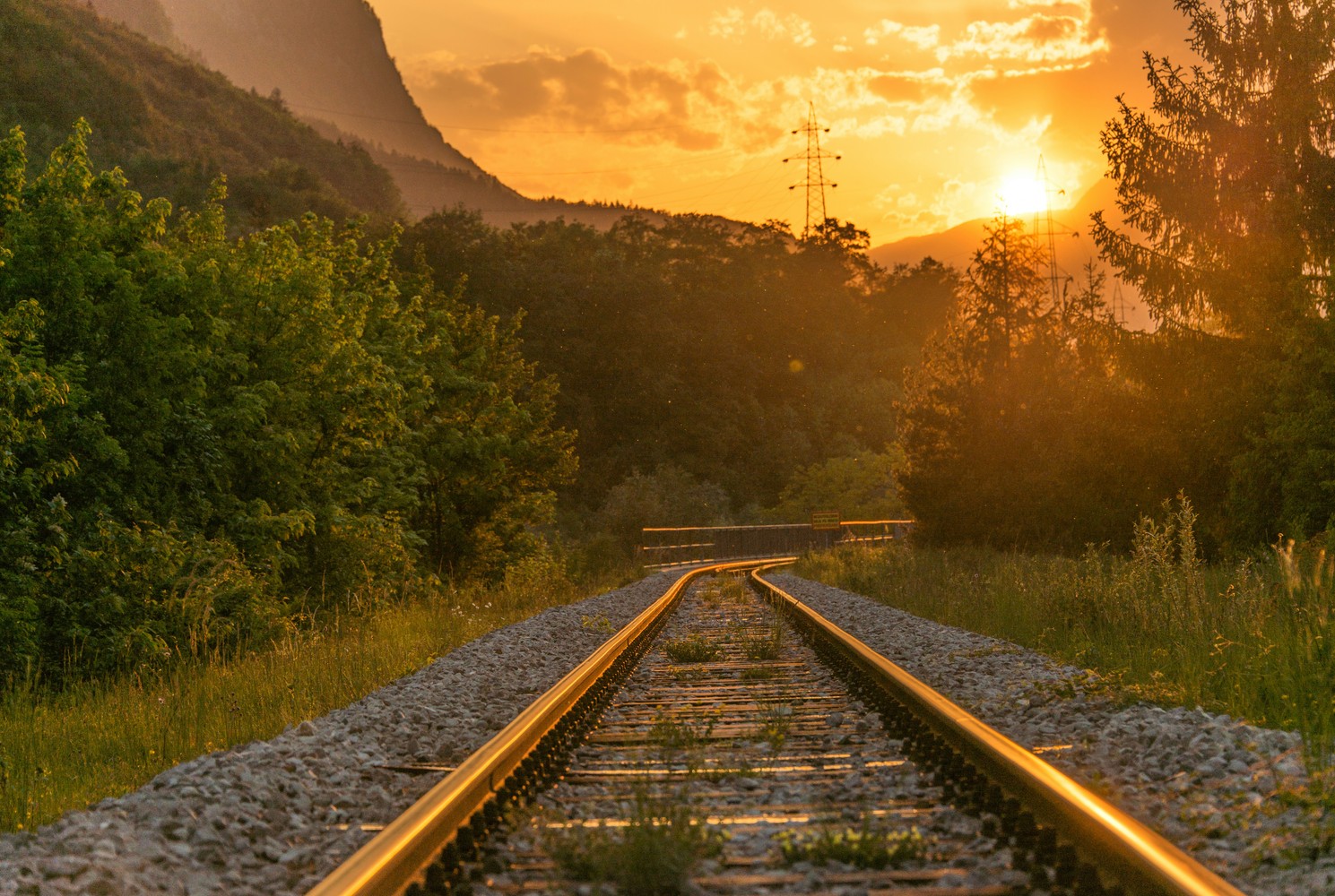 Tourist Train To Monastir
